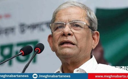 যারা নির্বাচন বয়কটের চেষ্টা করবে তারা নিশ্চিহ্ন হয়ে যাবে : মির্জা ফখরুল