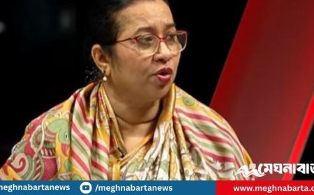 ‘মঞ্চ ৭১’ এর কর্মসূচির অনুমতি দিলেন, নিরাপত্তা দিলেন না কেন : নিলুফার চৌধুরী