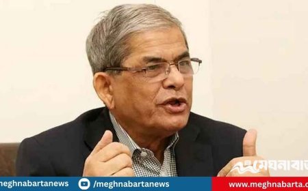 ঘোষিত সময়ে নির্বাচন হওয়া ছাড়া বিকল্প নেই : মির্জা ফখরুল