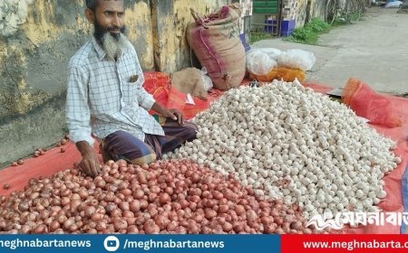 পেঁয়াজ-রসুন-আদার বাজারে অস্থিরতা