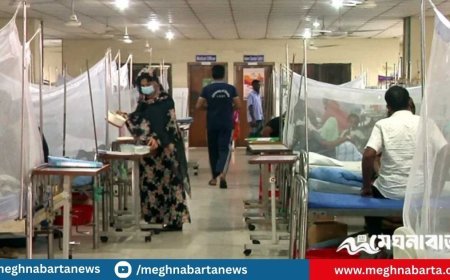 ২৪ ঘণ্টায় ১৬৫ জনের ডেঙ্গু শনাক্ত