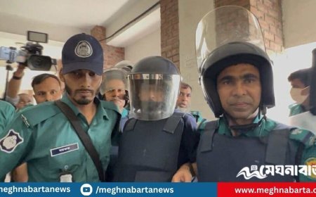 রিমান্ড শেষে তৌহিদ আফ্রিদি কারাগারে