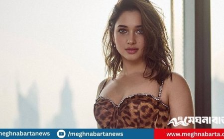 প্রাক্তনদের নিয়ে মুখ খুললেন তামান্না