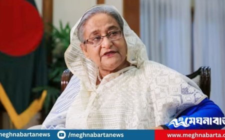 ফেব্রুয়ারির আগেই হাসিনার বিরুদ্ধে মামলা নিষ্পত্তির প্রত্যাশা চিফ প্রসিকিউটরের