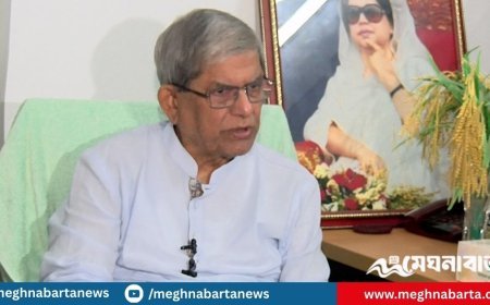 নতুন সংবিধান গ্রহণ করবো না, তবে জুলাই সনদের নিশ্চয়তা দেয়া হবে: মির্জা ফখরুল