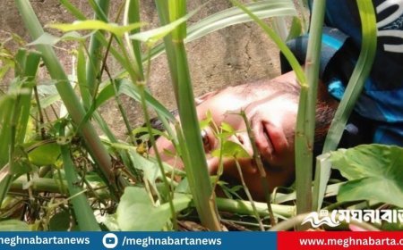 ছাদ থেকে ফেলে দেওয়া সেই চবি শিক্ষার্থী শিবির নেতা