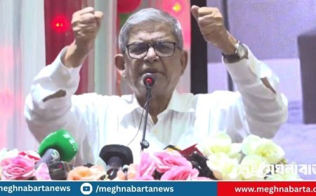 বিএনপিই একমাত্র দল যারা বাংলাদেশকে রক্ষা করতে পারে: মির্জা ফখরুল