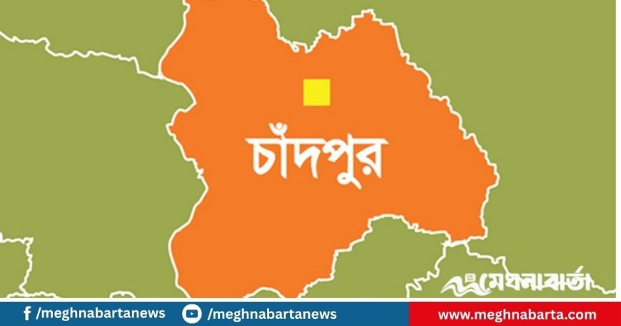 চাঁদপুরে সাপের দংশনে গৃহবধূর মৃত্যু