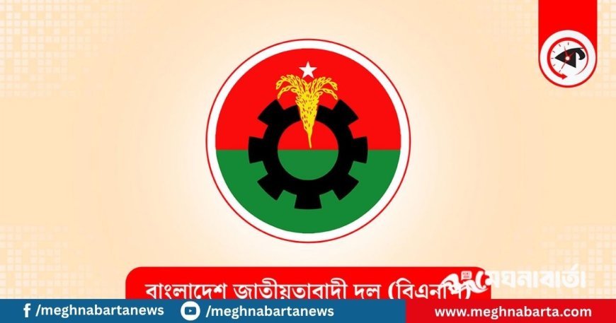 জুলাই ঘোষণাপত্রের অনুষ্ঠানে এখনো দাওয়াত পায়নি বিএনপি : সালাহউদ্দিন