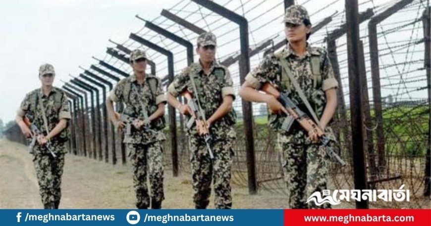 সাতক্ষীরা সীমান্তে বাংলাদেশি ব্যবসায়ীকে বিএসএফের গুলি