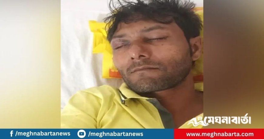 মাছের ঘেরে খাবার দিচ্ছিলেন আলমগীর, হঠাৎ বিএসএফের গুলি