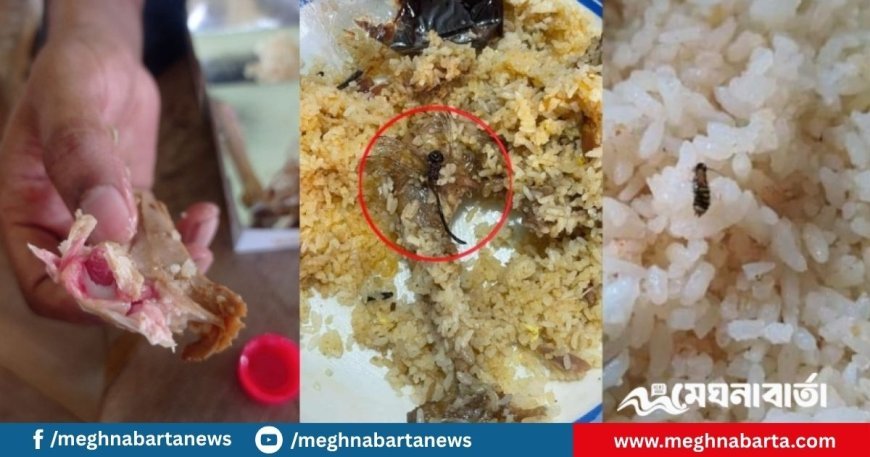 বরিশাল বিশ্ববিদ্যালয়ের জুলাই বিজয় ভোজে স্বাদহীন পোলাও, ফড়িং ও কাঁচা মাংস