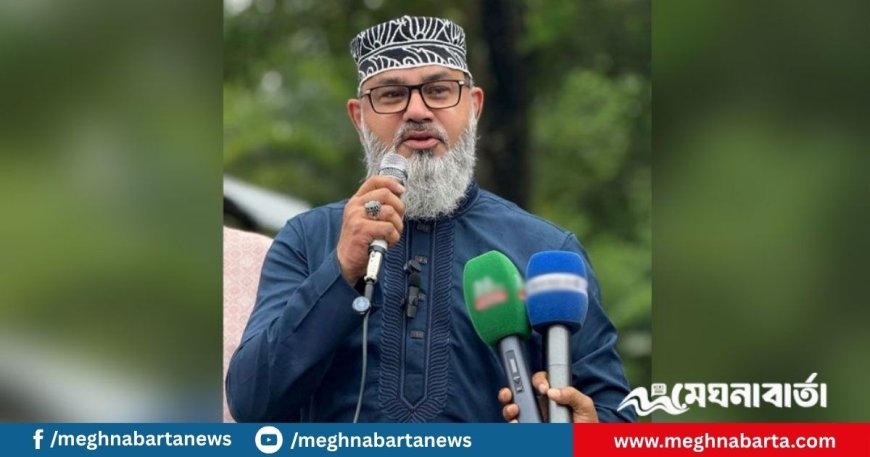 আমাদের কিছু বন্ধু আওয়ামী লীগের ভাষায় কথা বলছেন: মাসুদ সাঈদী