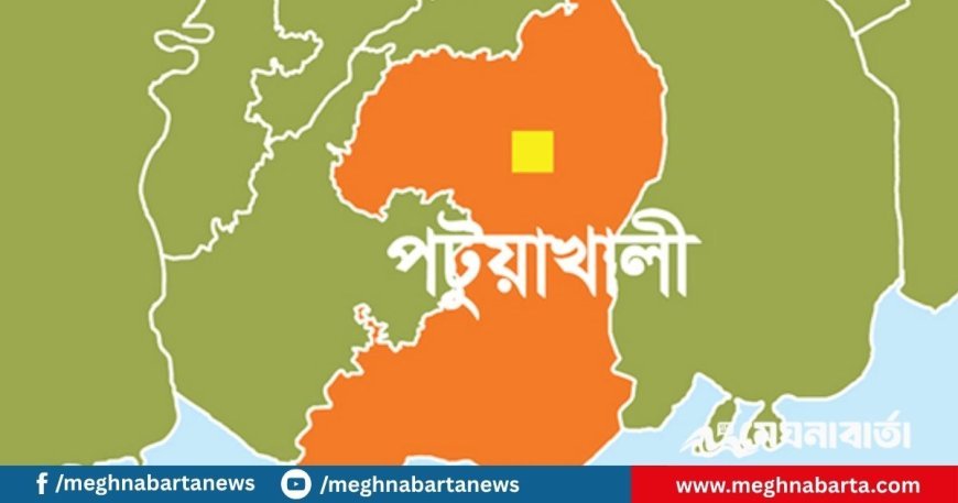পটুয়াখালীতে দুই কিশোরকে হাত বেঁধে পেটানোর ভিডিও ভাইরাল