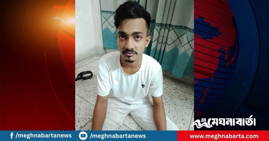 পল্লবীতে কিশোর গ্যাং প্রধান আশিক আবারও গ্রেফতার