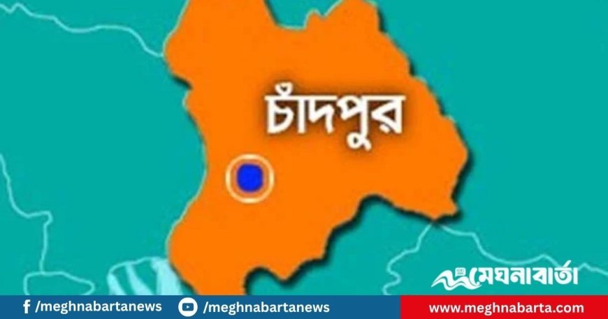চাঁদপুরে চাচার হাতে ভাতিজা খুন, গ্রেফতার ২