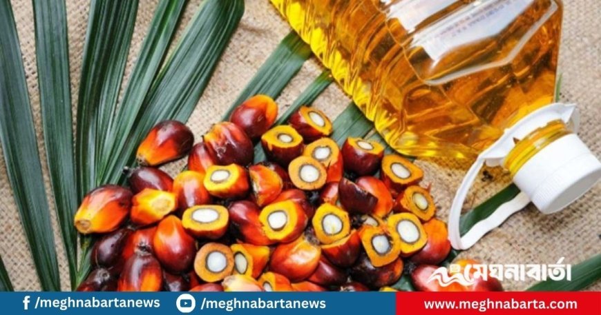 লিটারে ১৯ টাকা কমল পাম অয়েলের দাম