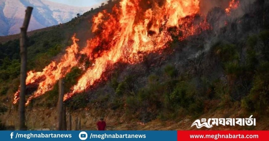 দক্ষিণ ইউরোপজুড়ে ভয়াবহ দাবানল, ঘরছাড়া হাজার হাজার মানুষ