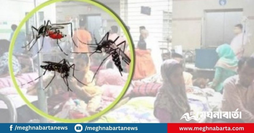 ২৪ ঘণ্টায় ডেঙ্গুতে একজনের মৃত্যু, হাসপাতালে ৩২৫
