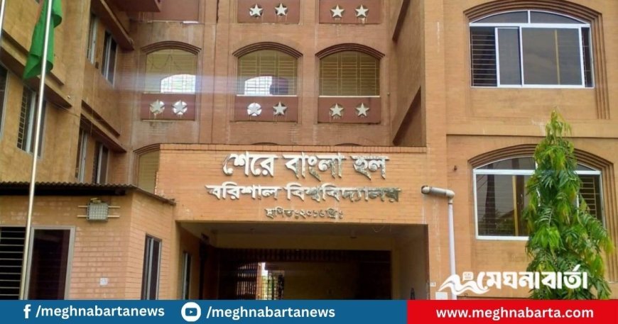 স্পিকার বাজানো নিয়ে বরিশাল বিশ্ববিদ্যালয়ে বৈষম্যবিরোধী নেতা ও ছাত্রদল কর্মীর সংঘর্ষ