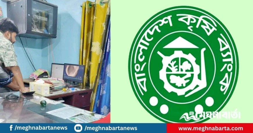 খুলনায় কৃষি ব্যাংকের ভল্ট ভেঙে ১৬ লাখ টাকা চুরি