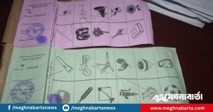 দলীয় প্রতীক থাকছে না স্থানীয় সরকার নির্বাচনে, অধ্যাদেশ জারি