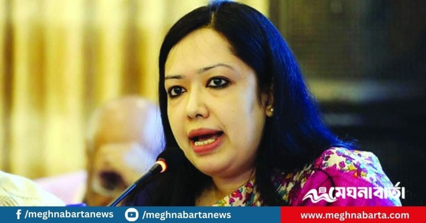 রাষ্ট্রপতির ছবি থাকা না থাকা নিয়ে ব্যস্ত সরকার : রুমিন ফারহানা