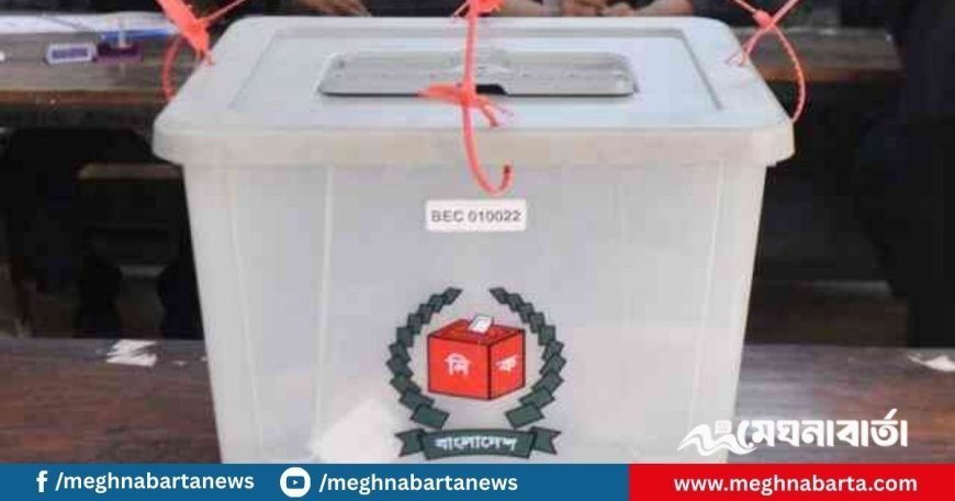 পাসপোর্টহীন প্রবাসীরা যেভাবে ভোটার হতে পারবেন