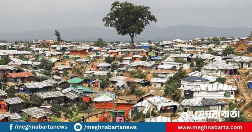 রোহিঙ্গারা এখন গলার কাঁটা; স্থানীয়দের প্রতিক্রিয়া