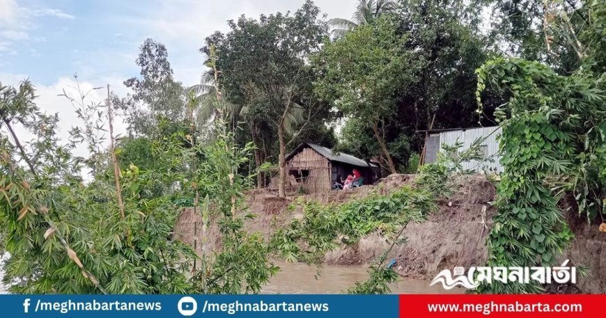 ভাঙন ভাঙন খেলায় দিশেহারা নদীপাড়ের মানুষ