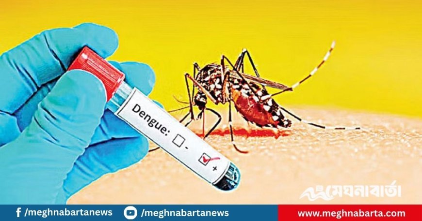 ডেঙ্গুতে এক দিনে ৫ জনের মৃত্যু, হাসপাতালে ভর্তি ৩১১