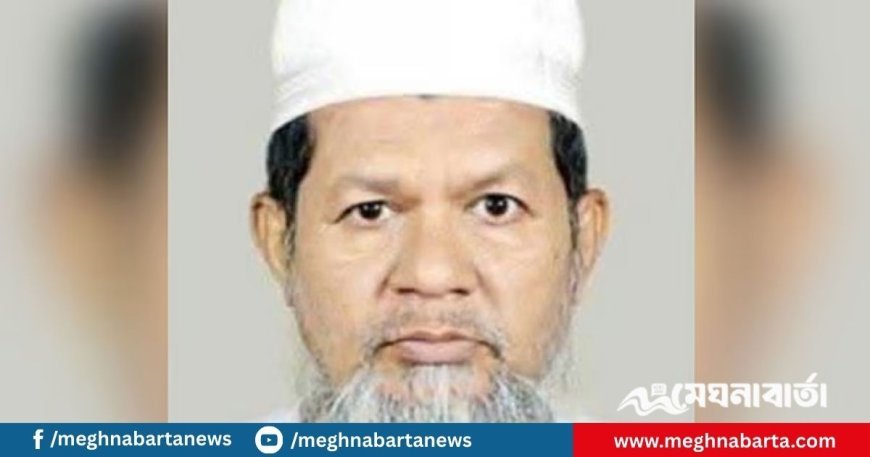 ইউনিয়ন বিএনপির সাধারণ সম্পাদক হলেন উপদেষ্টা মাহফুজের বাবা