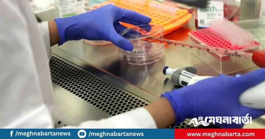 ল্যাবে তৈরি হলো বিশ্বের প্রথম জীবন্ত মানব ত্বক