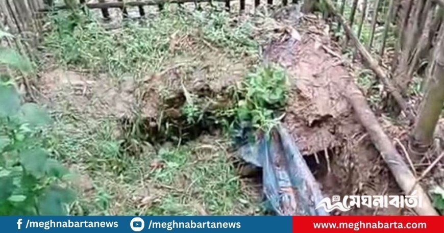 উল্লাপাড়ায় কবর থেকে ৭ কঙ্কাল চুরি