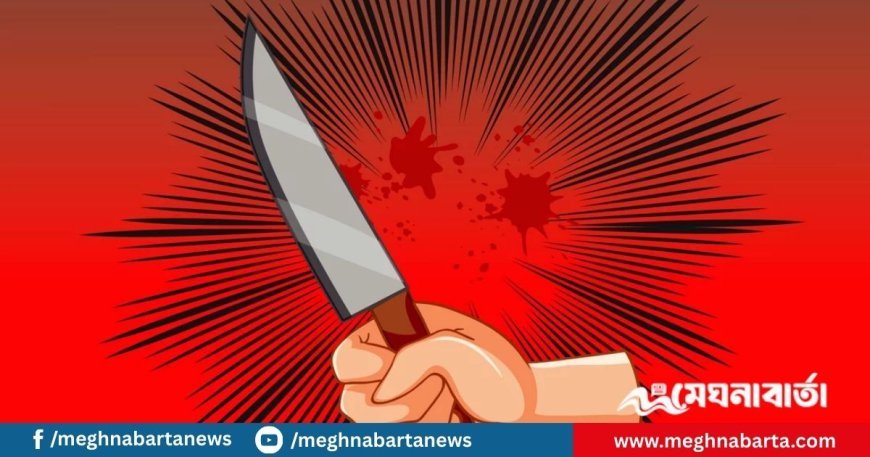 পাবনায় প্রতিপক্ষের হামলায় যুবদল নেতা নিহত