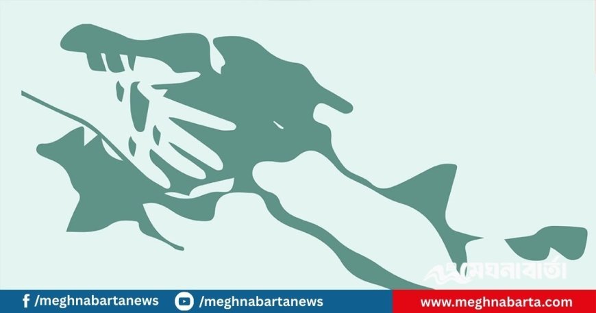 বন্ধুকে বাড়িতে এনে খাওয়ায় নাজমুল, এরপর কুপিয়ে হত্যা