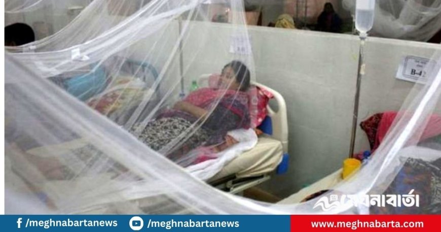 ডেঙ্গুতে আরও ৩ জনের মৃত্যু