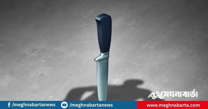 যাত্রাবাড়ীতে দুর্বৃত্তের ছুরিকাঘাতে যুবক নিহত
