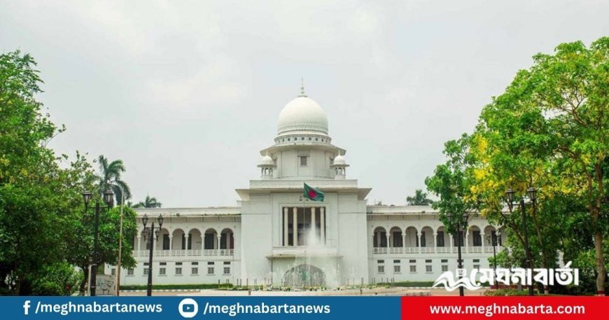 তত্ত্বাবধায়ক বাতিলের রায়ের বিরুদ্ধে আপিলের অনুমতি