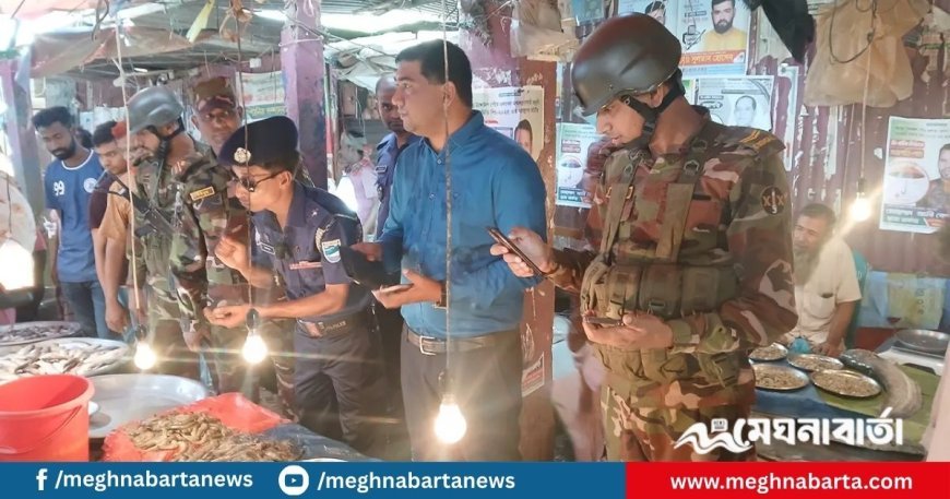 বাজারে চিংড়ির খোলসের ভেতর জেলি, অতঃপর...