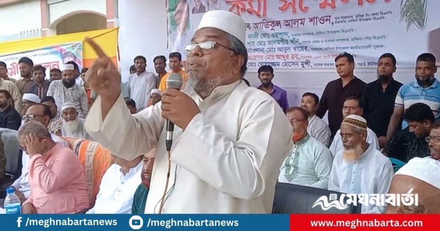 কুমিল্লায় ‘আলাদা ব্যালট ছাপানো’ নিয়ে যুবদল নেতার ভিডিও ভাইরাল