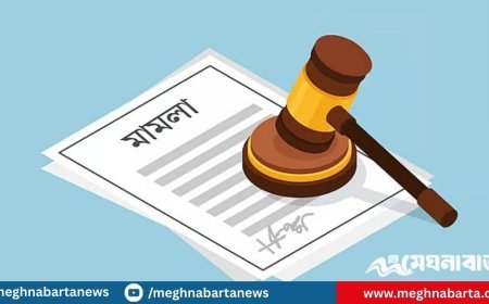 চোরাচালানের জব্দ করা গরু হয়ে গেল ‘বাছুর’, পাঁচ জিম্মাদারের বিরুদ্ধে মামলার নির্দেশ