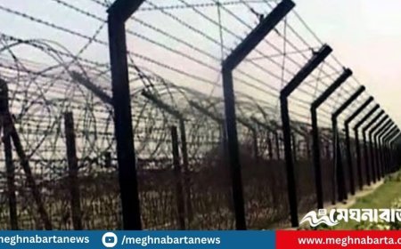 সাতক্ষীরা সীমান্তে ১৪ বাংলাদেশিকে হস্তান্তর করল বিএসএফ