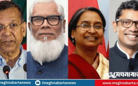 কারাগার থেকেই ভার্চুয়ালি হাজিরা দিলেন ২৪ আসামি