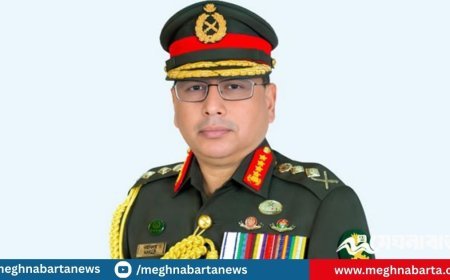 রাষ্ট্রপতি ও প্রধান উপদেষ্টার সঙ্গে সেনাপ্রধানের সাক্ষাৎ