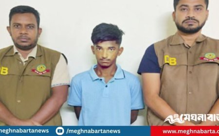 বিদেশি পিস্তল ও গুলিসহ এক তরুণ গ্রেপ্তার