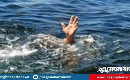 ঠাকুরগাঁওয়ে পুকুরে ভাসছিল ২ শিশুর লাশ