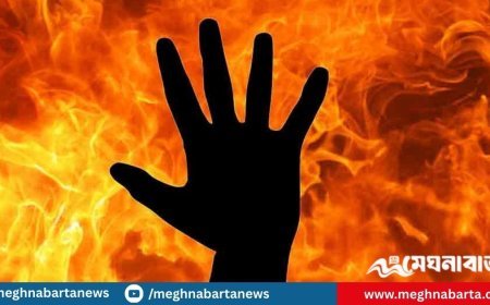 সম্পর্ক বিচ্ছিন্ন করায় প্রেমিকাকে জ্যান্ত পুড়িয়ে হত্যা