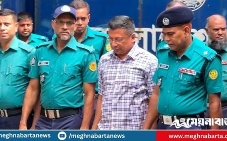 আটক বা হত্যার নির্দেশ র‍্যাব পেতো প্রধানমন্ত্রীর দফতর থেকে: সাবেক আইজির জবানবন্দি