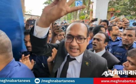 বরগুনায় বিএনপি অফিস ভাঙচুরের মামলায় আওয়ামীপন্থি ১২ আইনজীবী কারাগারে